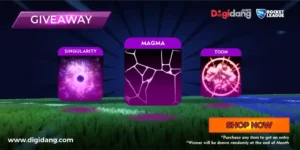 Gambar 3. Contoh banner promosi Digidang