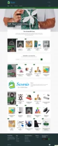 Gambar 1. Tampilan utama website Sesoris