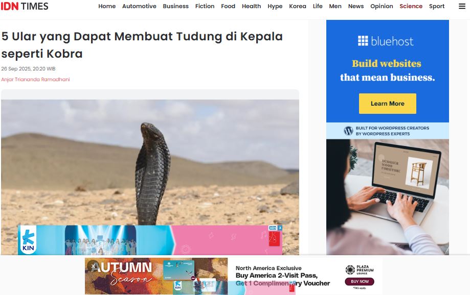 Contoh Website yang Mengandalkan Strategi Konten Evergreen Berbentuk Listicle